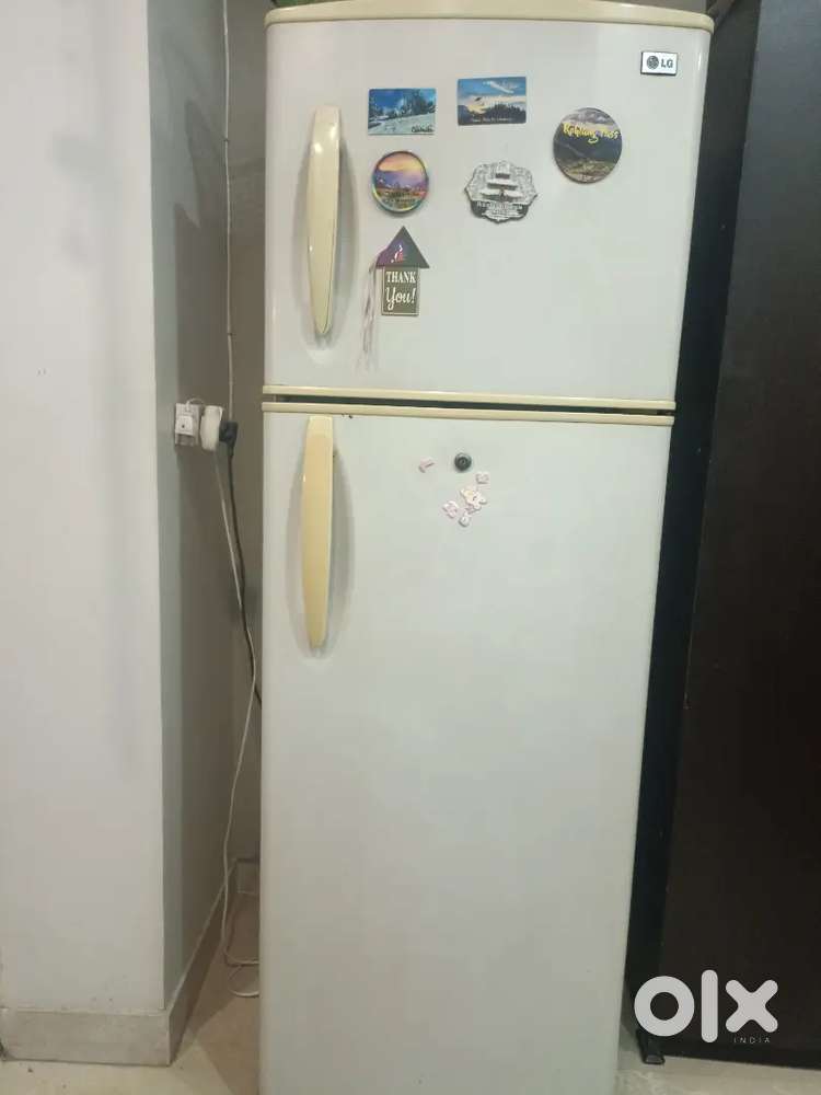 LG Fridge 310 L