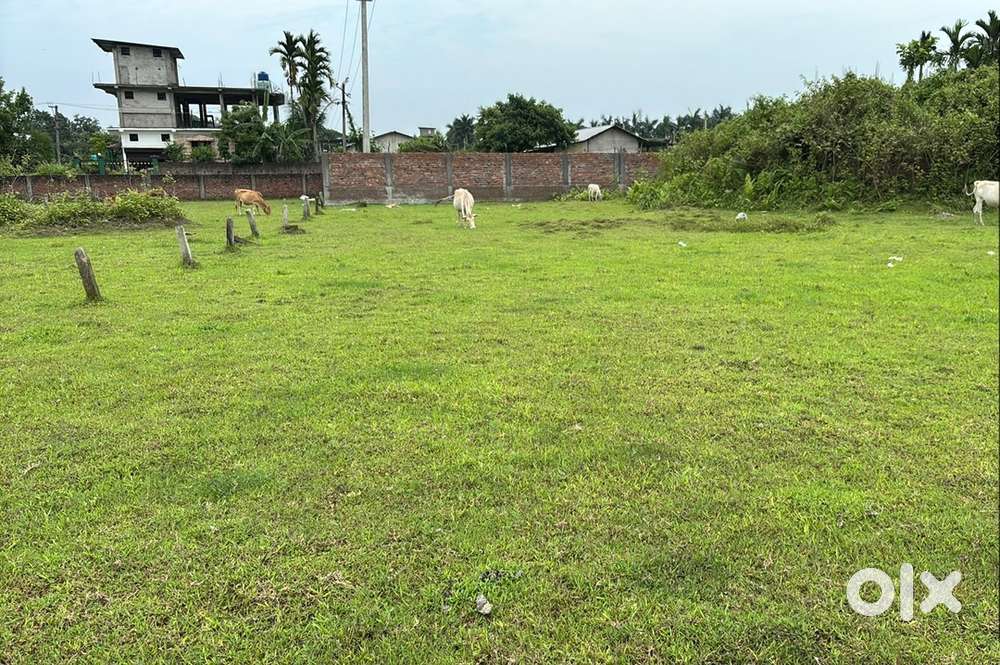 2 katha myadi land for sale at Dergaon Town