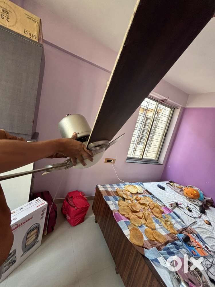 Bajaj ceiling fan