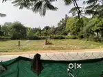 Every size plot available