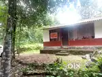 House plot for sale @85000cent