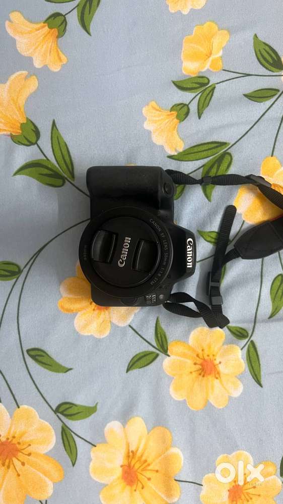 Canon 200D + 50mm f/1.8 lens + 2 Original Batteries + Charger