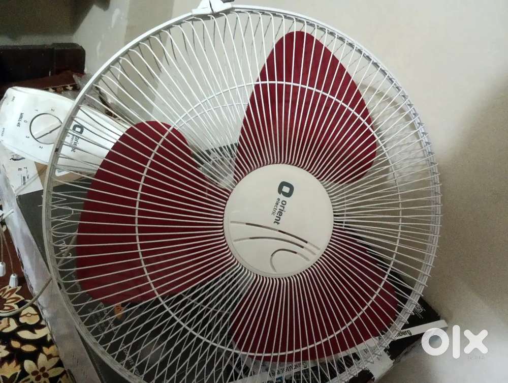 Orient wall fan
