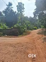10 Cent Plot For Sale Near KINFRA Industrial Park Nellad