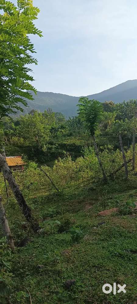 We are doing for all kind of toure pakges and cab service