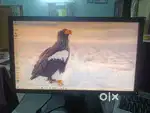 Dell Monitors