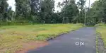 Kaduthuruthi muttuchira 8,10 cent land, asking price 160000 per cent,