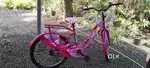 New bicycle, used only 3 times.