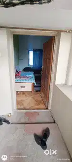 Need girl roommates