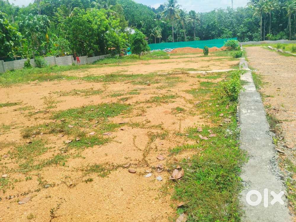 Residential plots available for sale in Memugham,Arakkunnam,Piravom