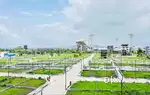 Plots 1100-2200 sqft in Gated community, Mamurdi