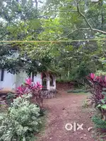 46 cent Land near lake with house and rubber trees for sale