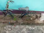 Good cycle in green colour