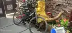 this is very good cycle.