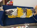 Sofa with cusion