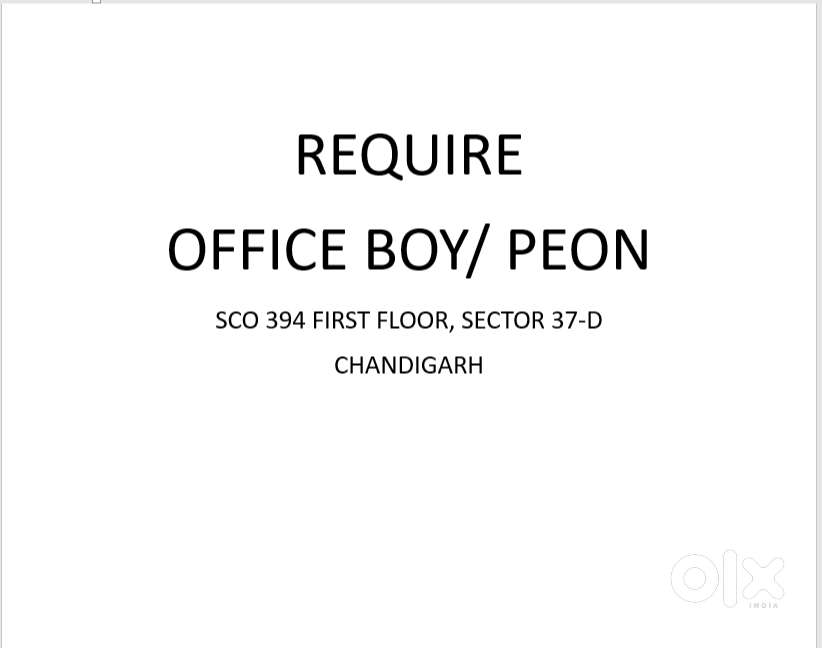 ऑफिस में छोटे मोटे काम के लिए लड़का चाहिए. Peon for office
