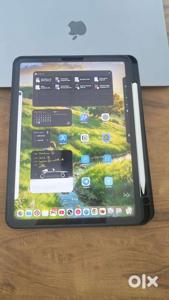 Ipad pro with pencil