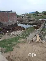 Lal tipara gau shala ke samne murar gwalior