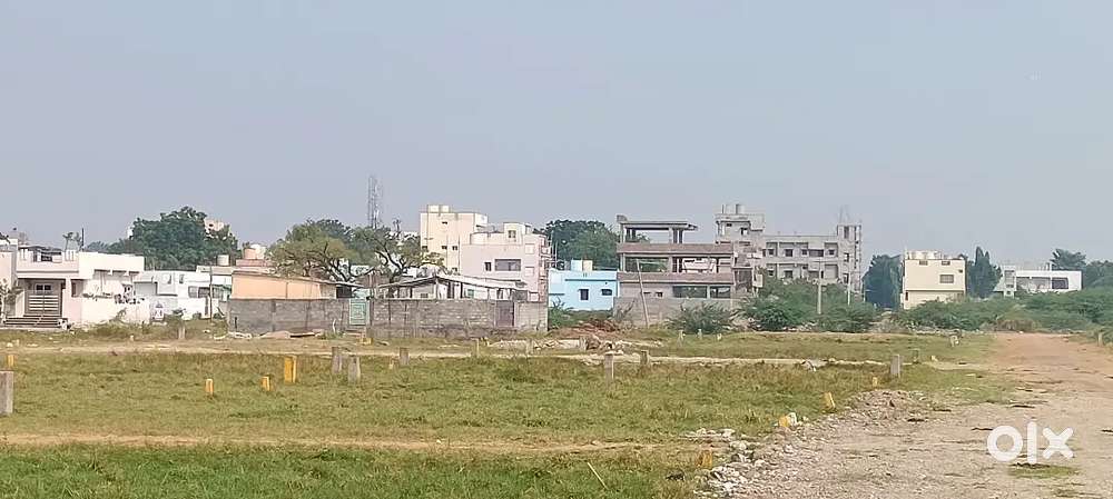 Guntur chittukunte VIP road