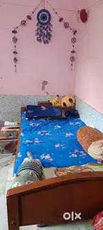 Need two girls for our hostel