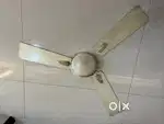 Usha fans for 1000 each
