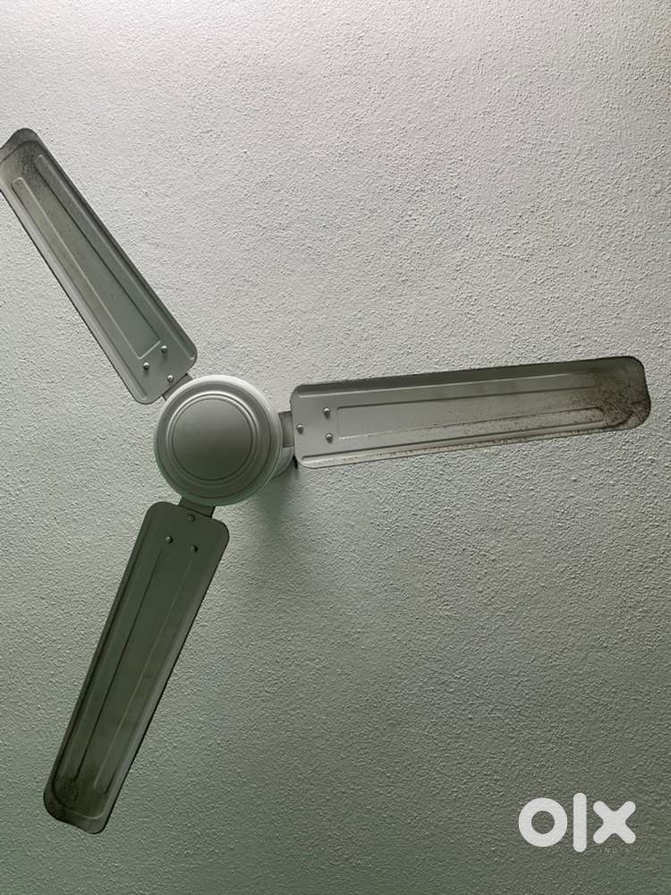 1ceiling fan
