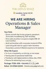 Sales Executive