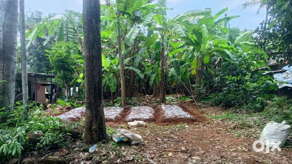 House plot for sale