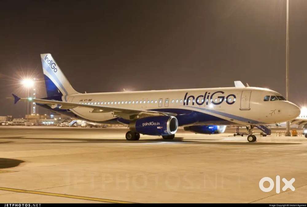 Ground Staff Jobs In Indigo Airlines Vacancy Available