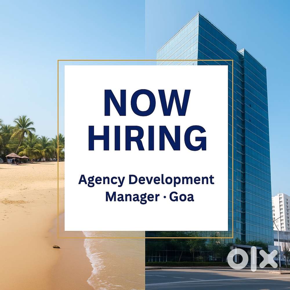 Assistance Development Manager