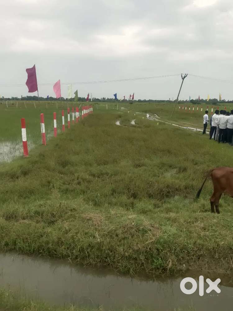 Kanchipuram panapakkam sipcord. Square feet 650..DTCP and RERA approva