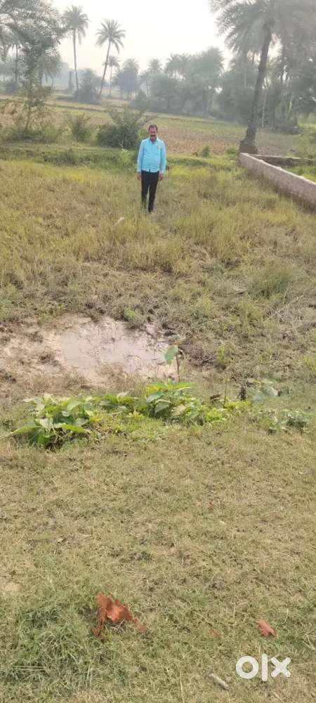 Land near Punaura Dham