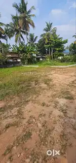 (ID-U205388) Plottable 5.3 Cent Land for Sale At Pettah