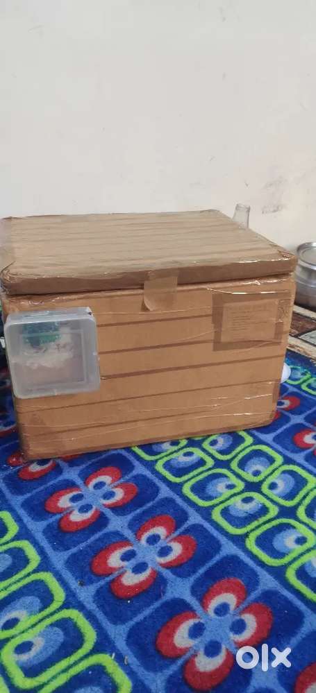 25 eggs capacity Incubator