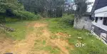 കൂത്താട്ടുകുളം