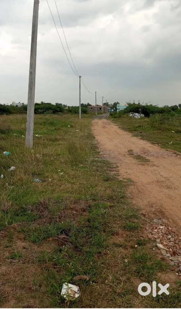 Patta Land Sale in vilangadupakkam