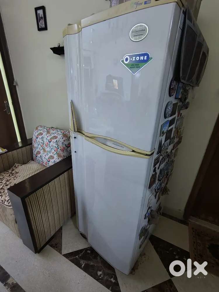 230 Electolux refrigerator