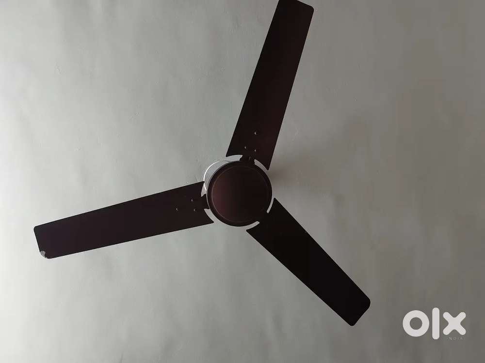 5 Fans for sale