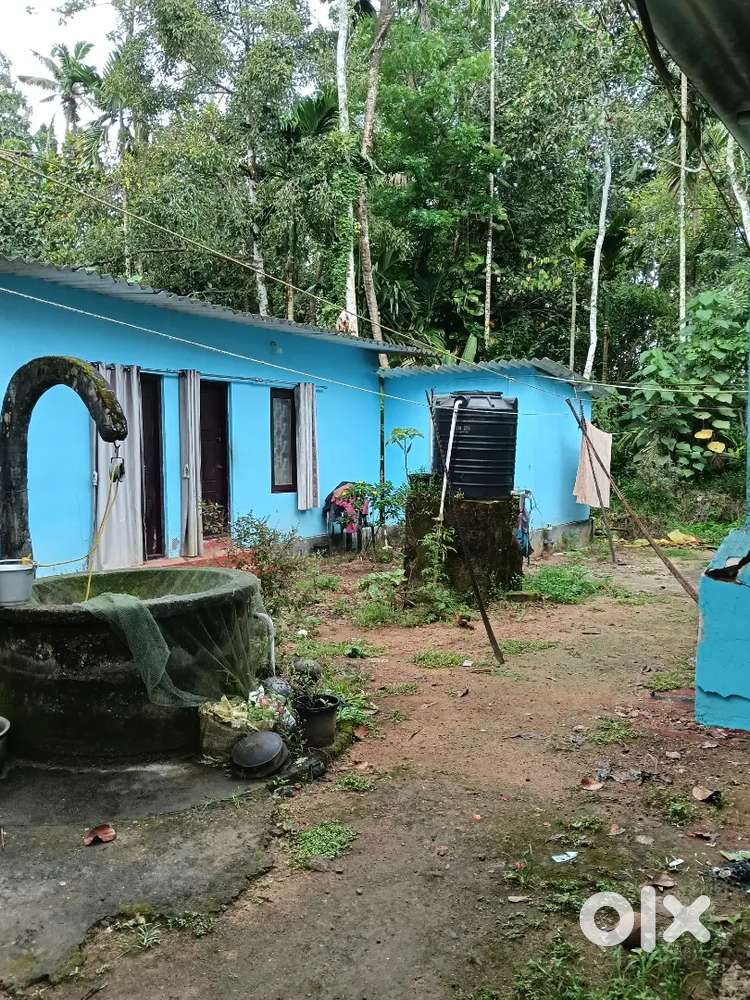 ആഞ്ഞിലിമൂട്  മനോവികാസ് വഴി pallisserikal