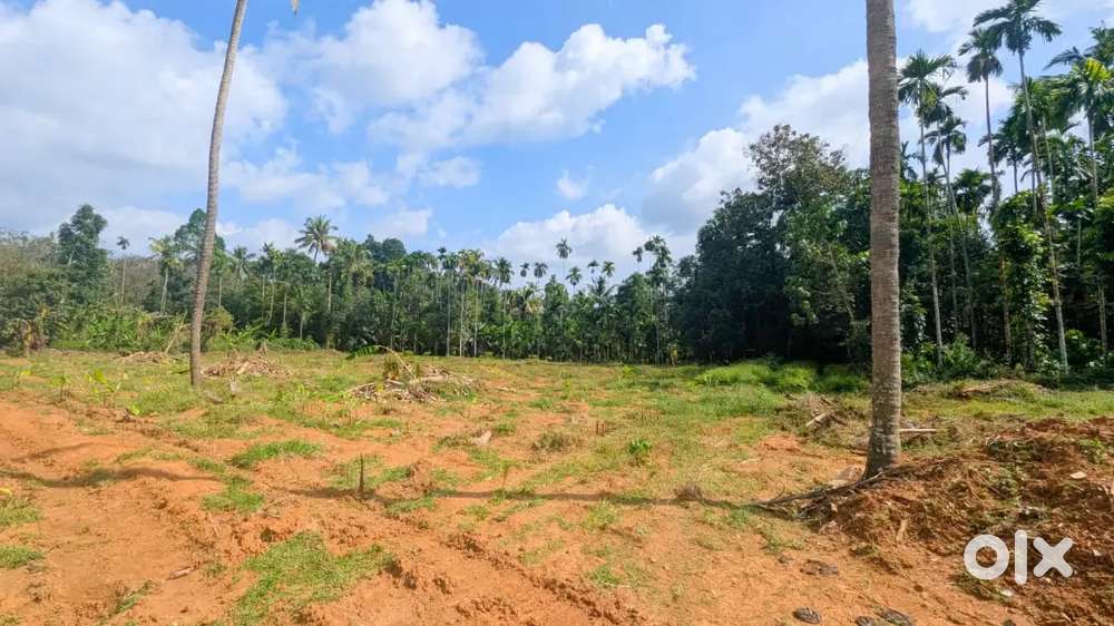 Highway Junction Near Angamaly–Karukutty-50 Cent Premium Plot-Free Reg
