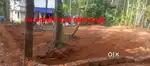 പുൽപ്പറ്റ പഞ്ചായത്തിൽ , തൃപ്പനച്ചി 20 സെന്റ് സ്ഥലം വില്പനക്ക്