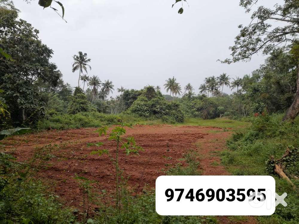 Land suitable for plots