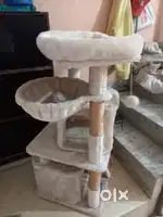 Cat house with soft material