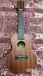 Kadence Concert Sized Ukulele 24 inch original, excellent condition