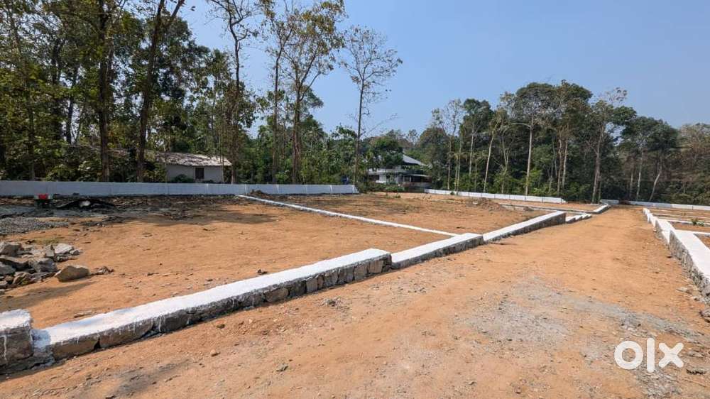 SCMS College Near Odakali 5 Cent Plots - ₹3L Down payment- Free Reg