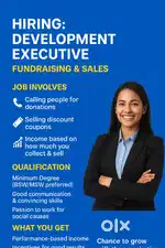 Development Executive