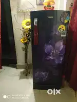 Whirlpool new refrigerator