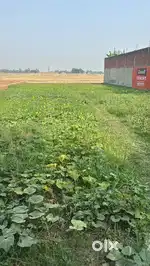 All typ of plots