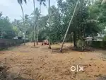 14 CENT FOR RENT IN KANIYAPURAM