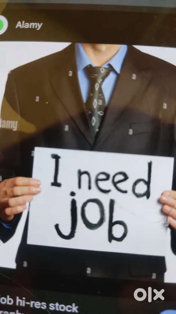 I am looking for a job.